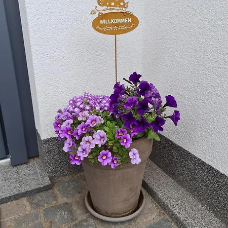 Hennemann Lejlighed Schmallenberg