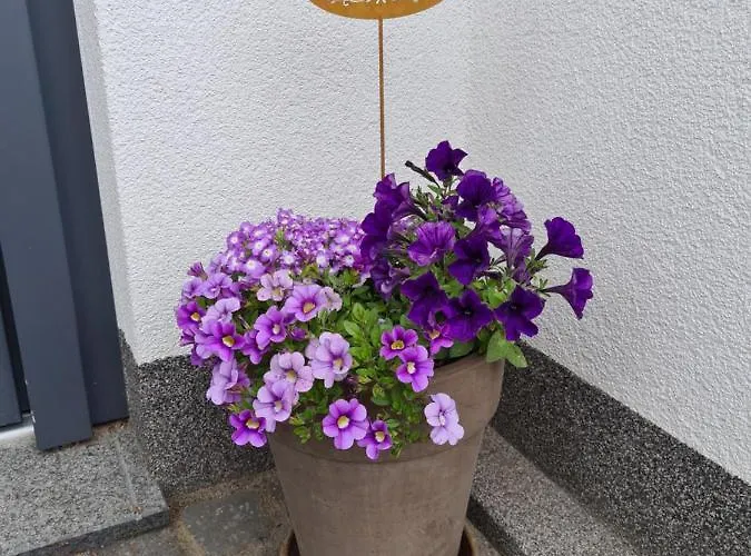 Hennemann Appartement Schmallenberg